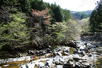 神越渓谷ます釣り場
