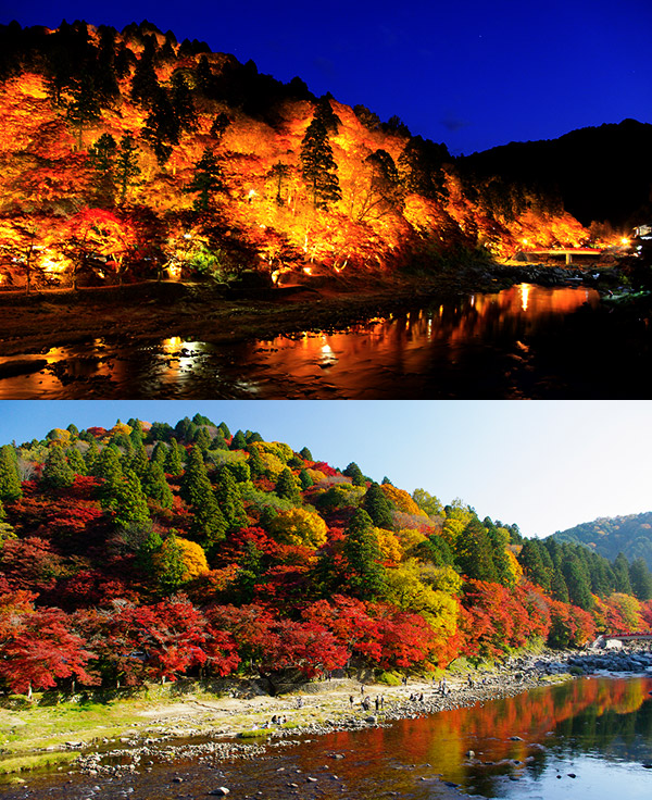 香嵐渓もみじまつり