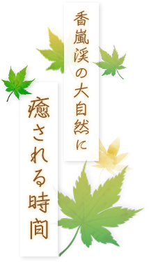 香嵐渓の大自然に癒される時間