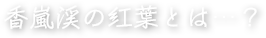 香嵐渓の紅葉とは…？